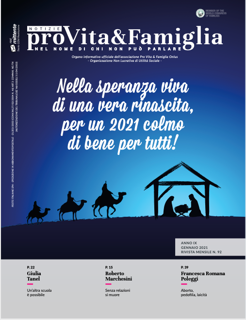 NPVF_auguri buon anno_ i Magi verso la Capanna